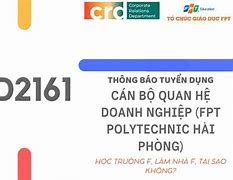 Fpt Polytechnic Hải Phòng Tuyển Dụng