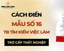 Giờ Làm Việc Của Bảo Hiểm Thất Nghiệp Quận 12