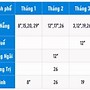 Lịch Thi Ielts Bc 2024