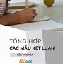 Nhà Văn Tiểu Luận Là Gì