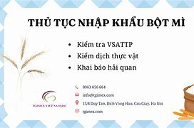 Thủ Tục Nhập Khẩu Bột Mì