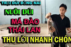 Trại Dúi Chồn Đồng Nai